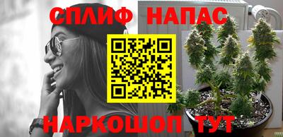 круглые Камышлов