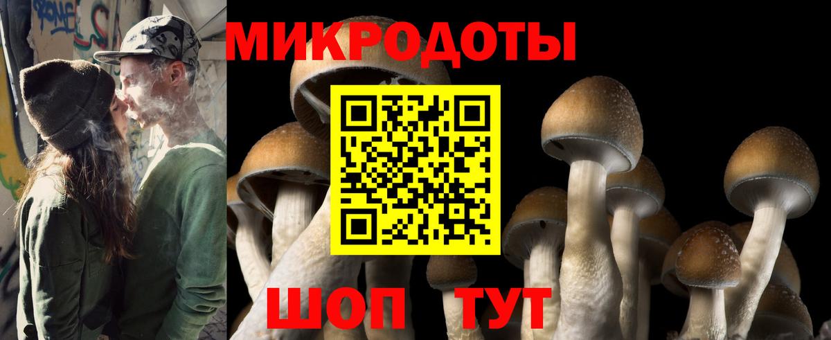 Галлюциногенные грибы Magic Shrooms Кропоткин